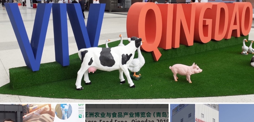 BIOTECH BIOSECURITY AT VIV CHINA 2019