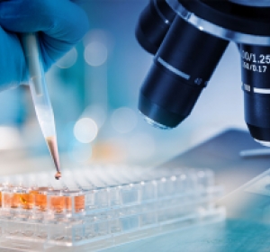 Flexibilidad y adaptabilidad